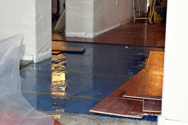 Professional Water Damage Restoration technician working in La Monte, MO